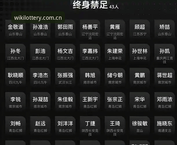 维基体育app下载 中国足协第三批禁足名单深度解读:从案例看行业整顿的完整指南
